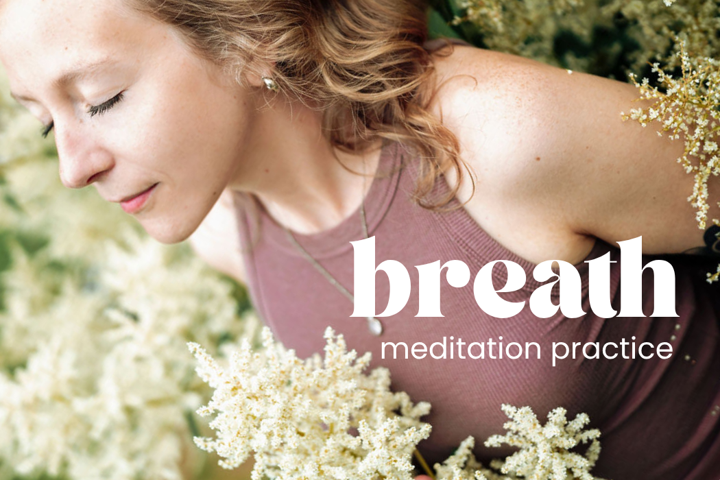 meditation day 2
